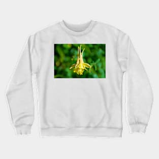 Winter Park 2018 Study 21 Crewneck Sweatshirt